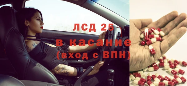 эйфоретик Арсеньев