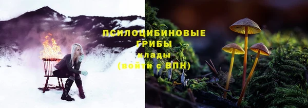 тгк Армянск