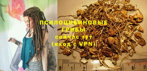 a pvp Аркадак